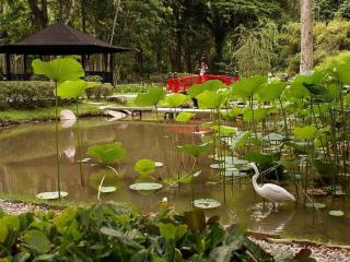 Ботанический сад и Национальный парк Тижука