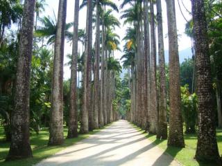 Ботанический сад и Национальный парк Тижука