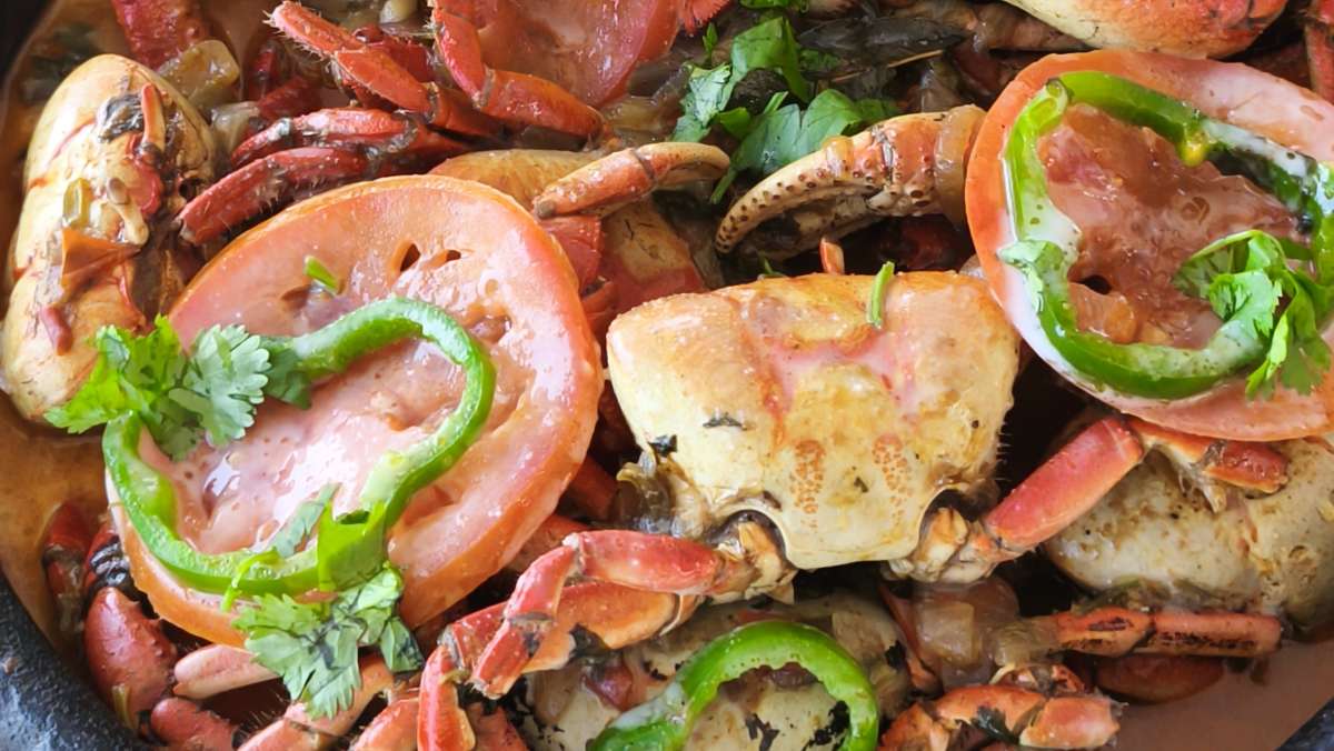 Мангровые леса, необитаемые острова и дикие пляжи
